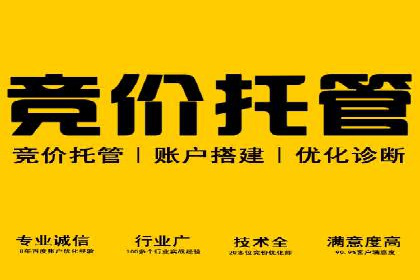 sem竞价代运营策略：如何实现ROI最大化